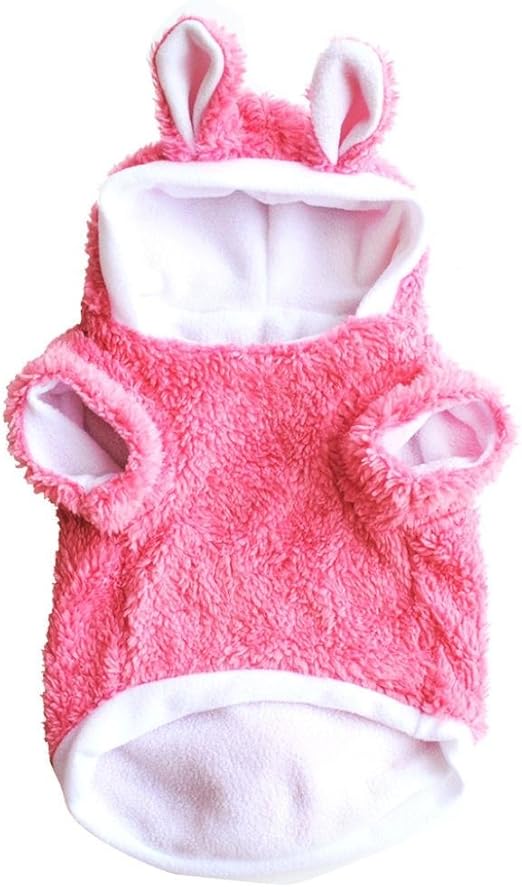 kitten clothes amazon
