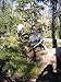 Montana Decoy Elk Rump Hunting Decoy