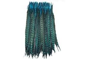 KOLIGHT Set of 10pcs Natural Dyed Pheasant Tails Feathers 12-14 Inch DIY Decoration (Turquoise)