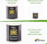 THE ONE All-In-One Paint & Primer White Satin 250 ml Multi-Surface view 3