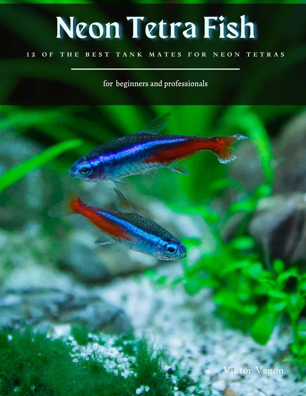 amazon tetra fish