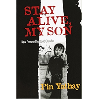 Stay Alive, My Son book cover