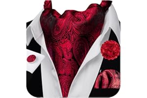 Ailisus Cravat Tie and Lapel Pin Set Mens Solid Color Paisley Ascot Silk Handkerchief Cufflinks Wedding