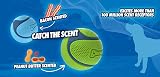 Chuckit! Sniff Duo Peanut Butter Bacon Scented Balls Medium Pack of 2 view 5
