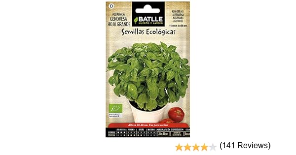 Semillas Ecológicas Aromáticas - Albahaca Gigante Genovese - ECO ...
