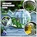 GONE Friendly Glass Teapot with Stainless Steel Infuser 900ml Clear Borosilicate