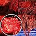 SENKAUTO Red 32ft 100 LED Bulbs Fairy Light String Holiday Outdoor Lighting for Christmas Party Decoration