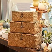 FashionSun Rectangular Handwoven Seagrass Storage Basket Set Natural Basket Organizer Bins (Brown(M,1PC))