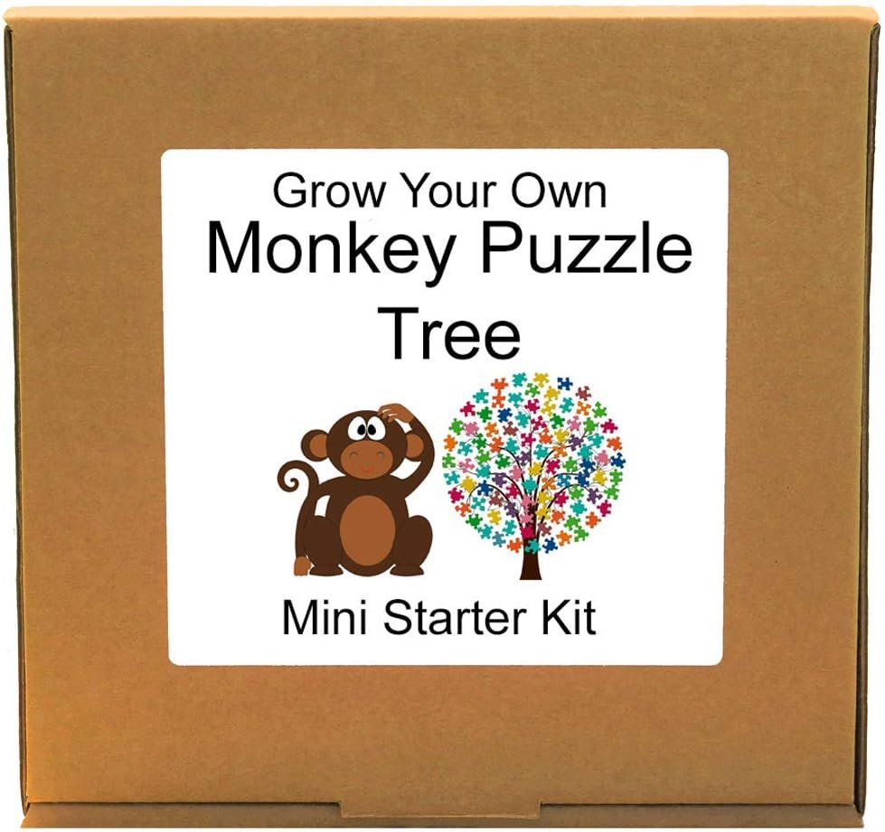 Grow Your Own Monkey Puzzle Tree Growing Kit – Unusual, Unique and Quirky Complete Beginner Friendly Indoor Gardening Gift for Men, Women or Children