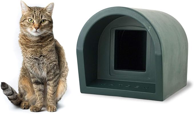 do male cats become more affectionate after neutering