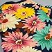 Fitwarm Fashion Summer Floral Dog T-Shirt for Pet Dog Clothes Cozy Apparel, Small