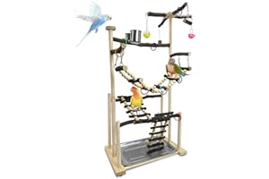kathson Large Bird Playground - Natural Wood Perch Gym 4 Layers Parrot Playstand Activity Center with Perches Ladder Chew Toys Removable Tray and 2 Stainless Steel Cups for Small and Middle Birds
