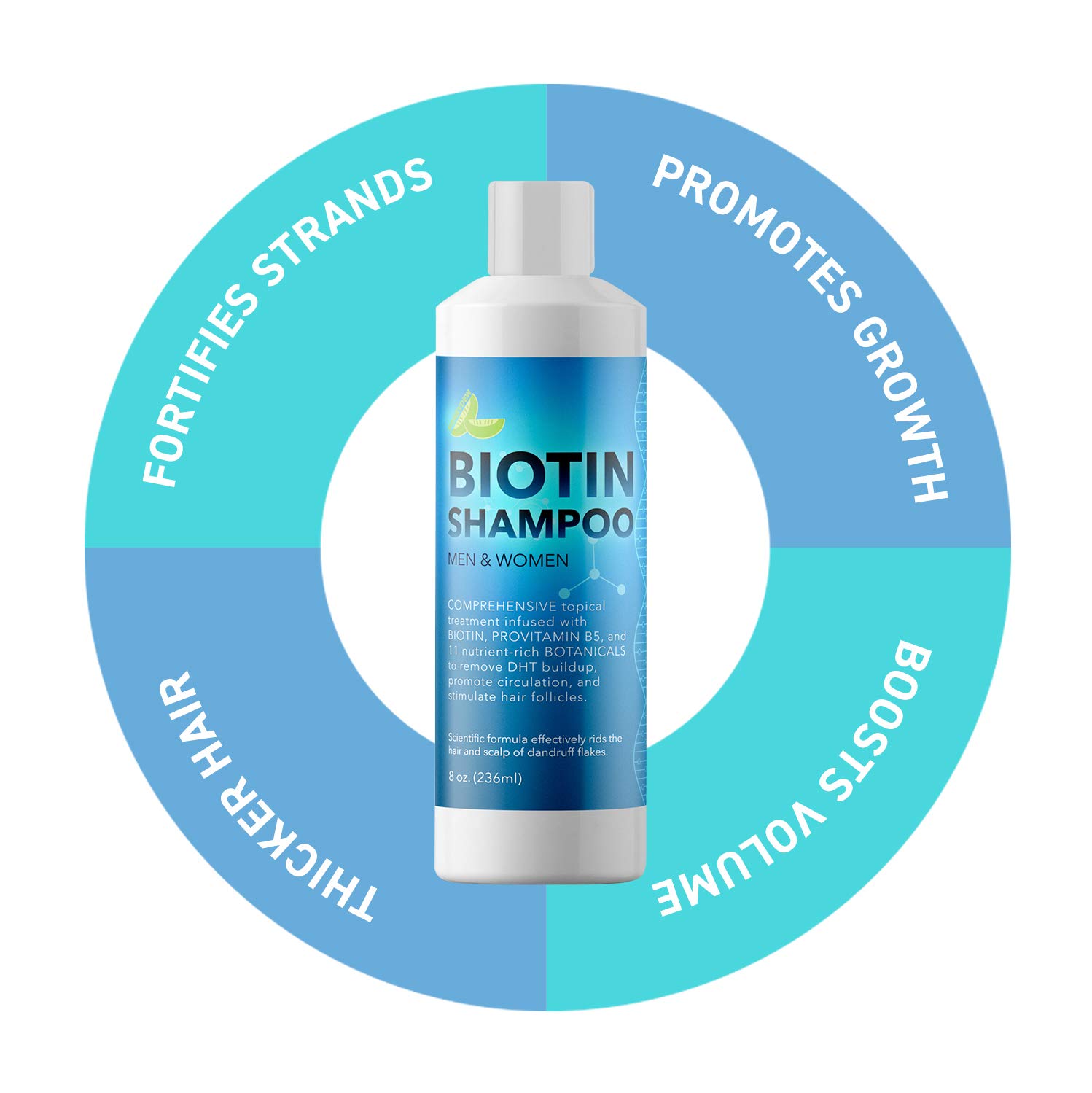 Biotin Shampoo for Hair Growth B-Complex Formula for Hair Loss Removes DHT for Thicker Fuller Hair Anti Dandruff Formula with Zinc Tea Tree Oil Extract Jojoba Oil Argan Oil For Women and Men 8 oz: Beauty