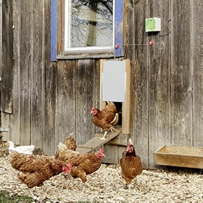 Kerbl Porte Automatique Poulailler Amazonfr Animalerie