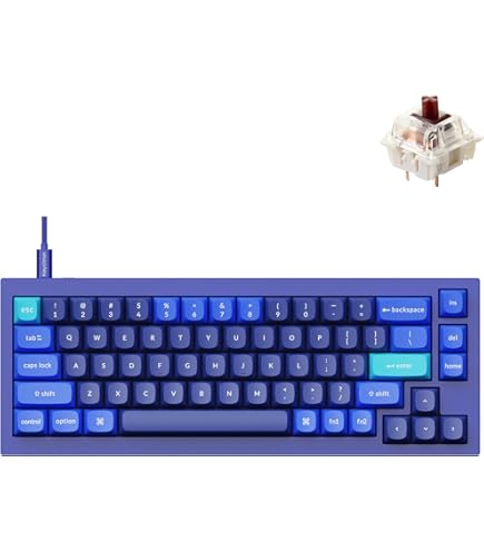 Amazon.com: Keychron Q2 Wired Custom Mechanical Keyboard, QMK/VIA