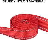 Taglory Dog Leads for Small Medium Dogs Reflective Padded Handle 2cm x 120cm Red view 3