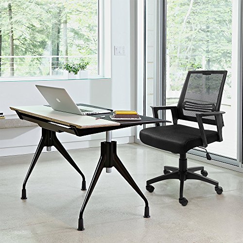 Devoko Office Chair Ergonomic Mid Back Swivel Mesh Desk Chair Height Adjustable Lumbar Support Computer Chair with Armrest (Black)