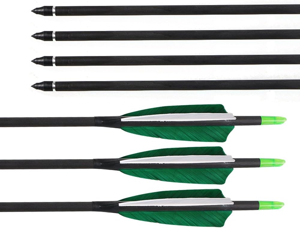 Huntingdoor Pure Carbon Arrows 31inch 400spine Archery Arrows Feather Fletching Screw-in Field Points Targeting Arrows for Compound Bow Recurve Bow 6/12 Pack : Sports & Outdoors