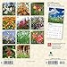 Wildflowers 2020 7 x 7 Inch Monthly Mini Wall Calendar, Flower Outdoor Plant