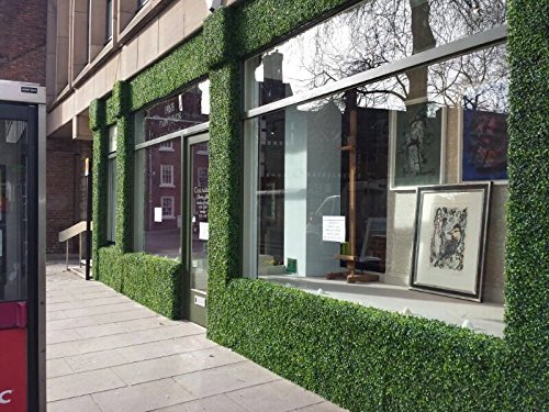 image for Generic Artificial Boxwood Hedge, Privacy Hedge Screen, UV Protected F