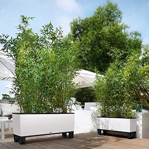 LECHUZA TRIO Cottage 40 granit 15023 – Bild 6