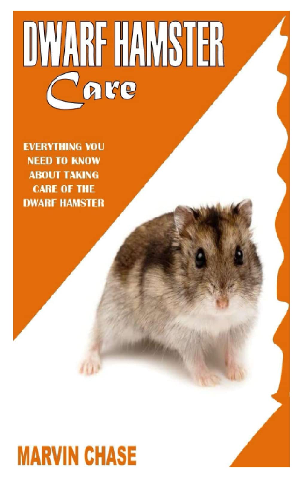 everything you need for a hamster
