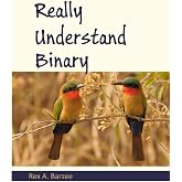 Really Understand Binary