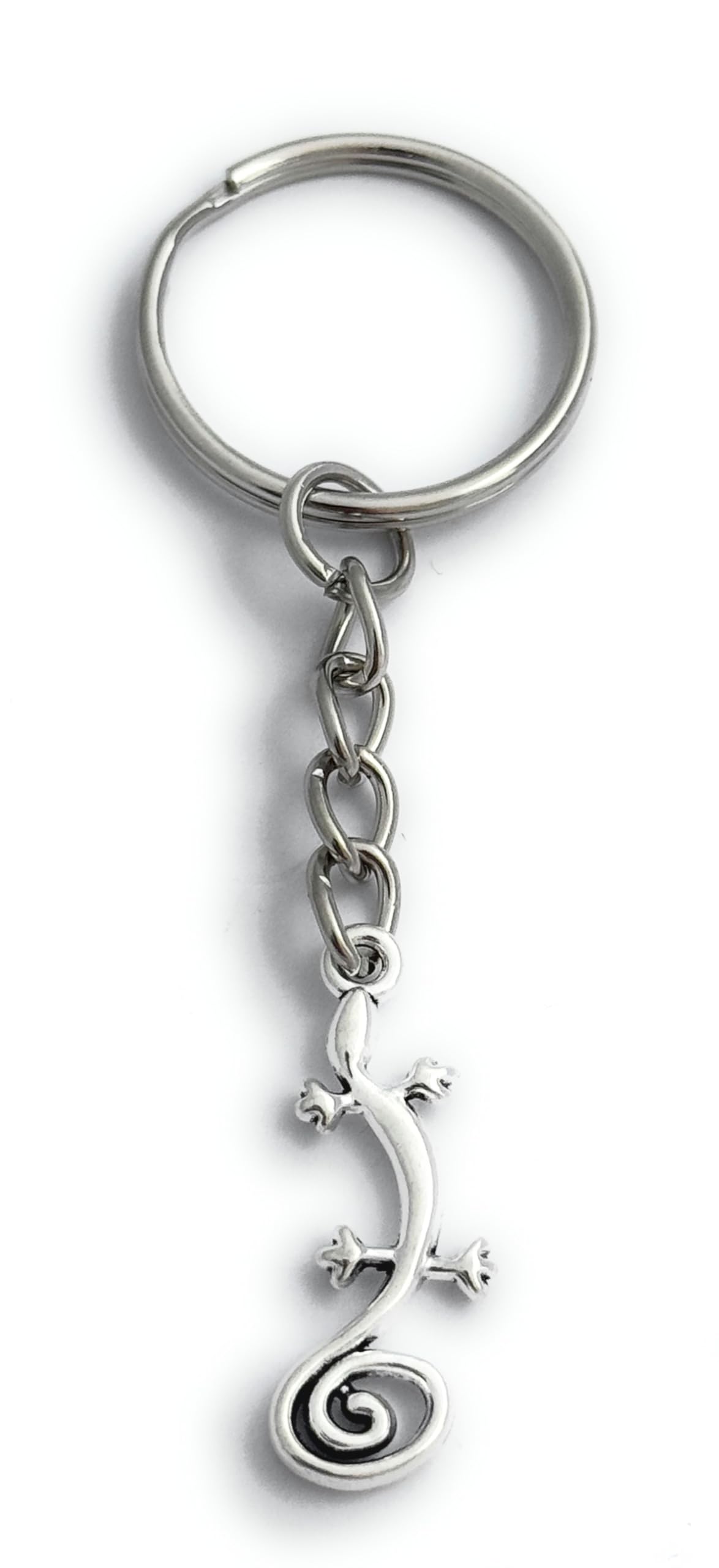 FizzyButton Gifts Gecko Lizard Chameleon Charm Keyring Key Ring with Silver Tone Keychain