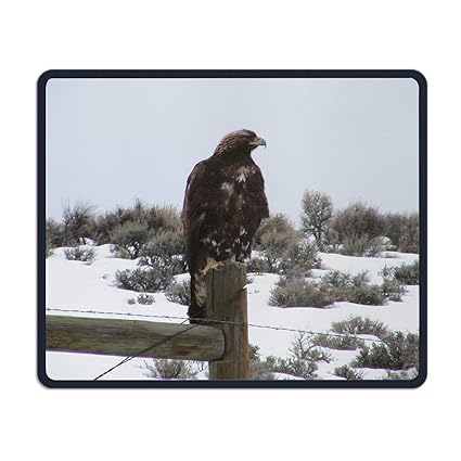 Amazoncom Palette Animal Golden Eagle Birds Mouse Pad