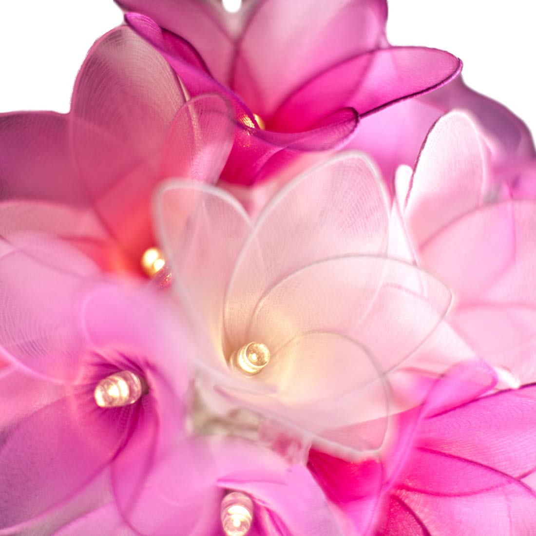 Blaze On Daisy Flower Fairy Lights (Pink Tones) – 20 Warm White LED Lights – Handcrafted Sheer Fabric Daisies – USB Powered with UK 3-Pin Adapter – Indoor Decorative String Lights