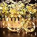 Ougilay LED Decorative Lights String Copper Waterproof Outdoor Party String lights Indoor Room Garden Waterproof USB Powered With Remote Control