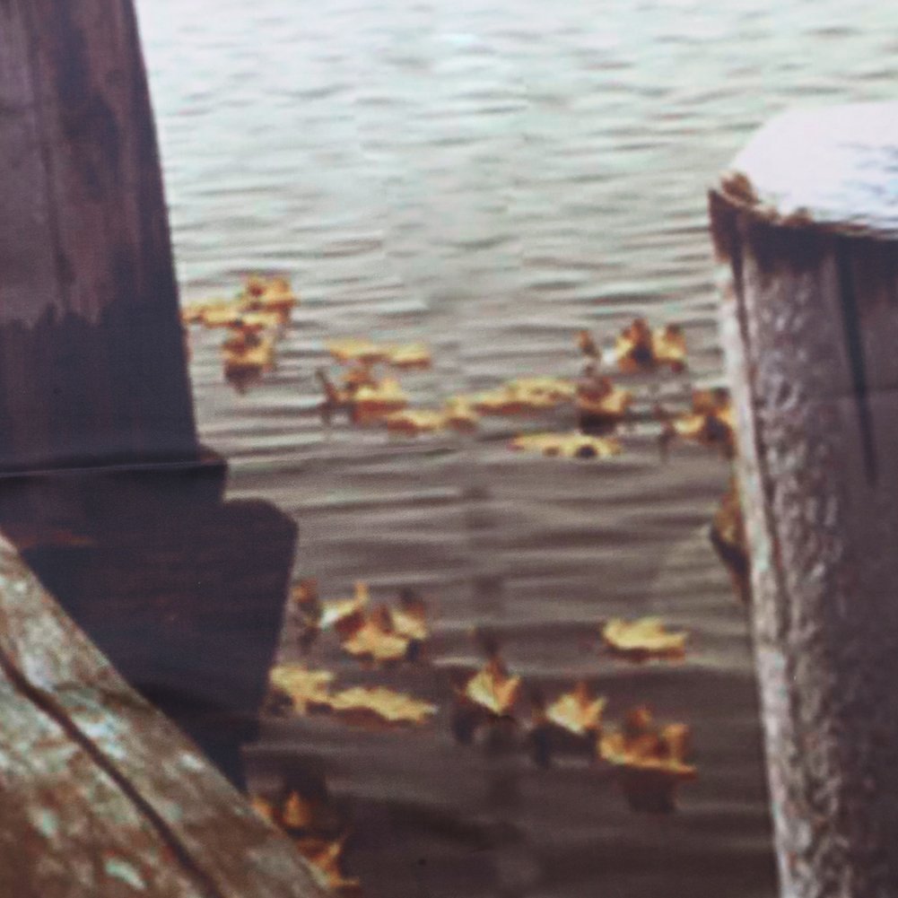 Minglitai Bathroom Shower Curtain, Bathroom Curtain Waterproof, Bath Curtain Mouldproof Mildewproof, Polyester Fabric Curtain Decoration with 3D Art Painting, 180x180cm Long with 12 Ring Hooks (Bridge)