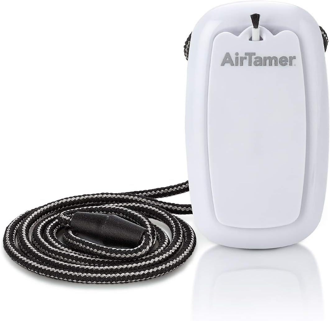 AirTamer A315W, Purificador de aire portátil recargable de última generación, portátil, generador de iones negativos, efectivo contra gérmenes/virus/alérgenos, con estuche de viaje de cuero negro