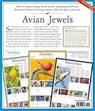 Image de Audubon Songbirds & Other Backyard Birds Picture-A-Day Wall Calendar 2017