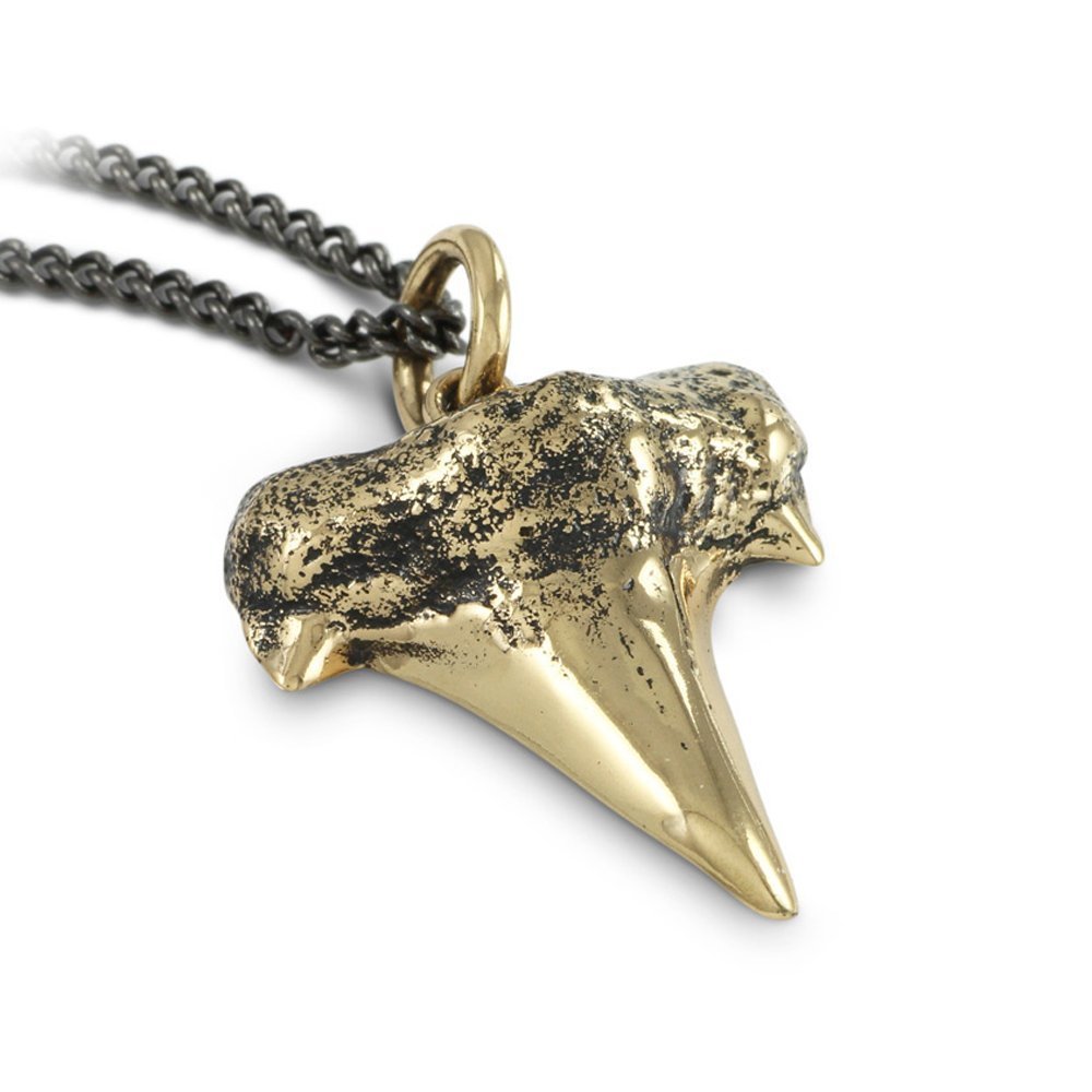 Shark Tooth Necklace - Bronze Shark Tooth Pendant on Gunmetal Chain