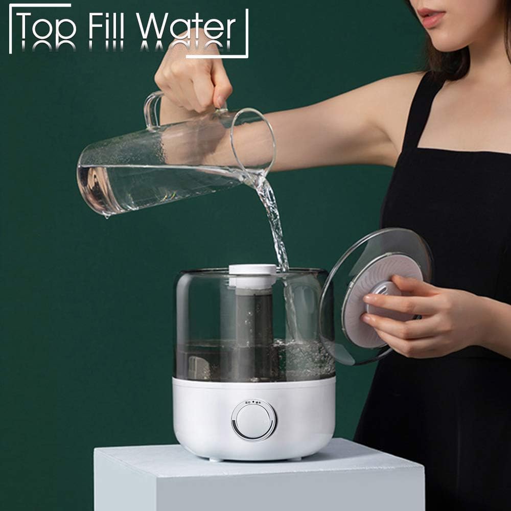 humidifier for bearded dragon