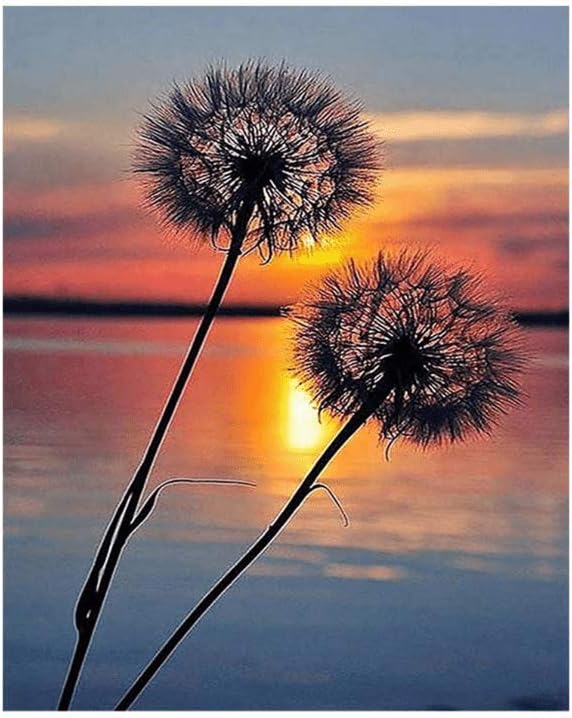 Thinktoo DIY Paint by Numbers, Canvas Oil Painting Kit for Kids & Adults, 16" W x 20" L Drawing Paintwork with Paintbrushes, Acrylic Pigment-Dandelions (#847A)