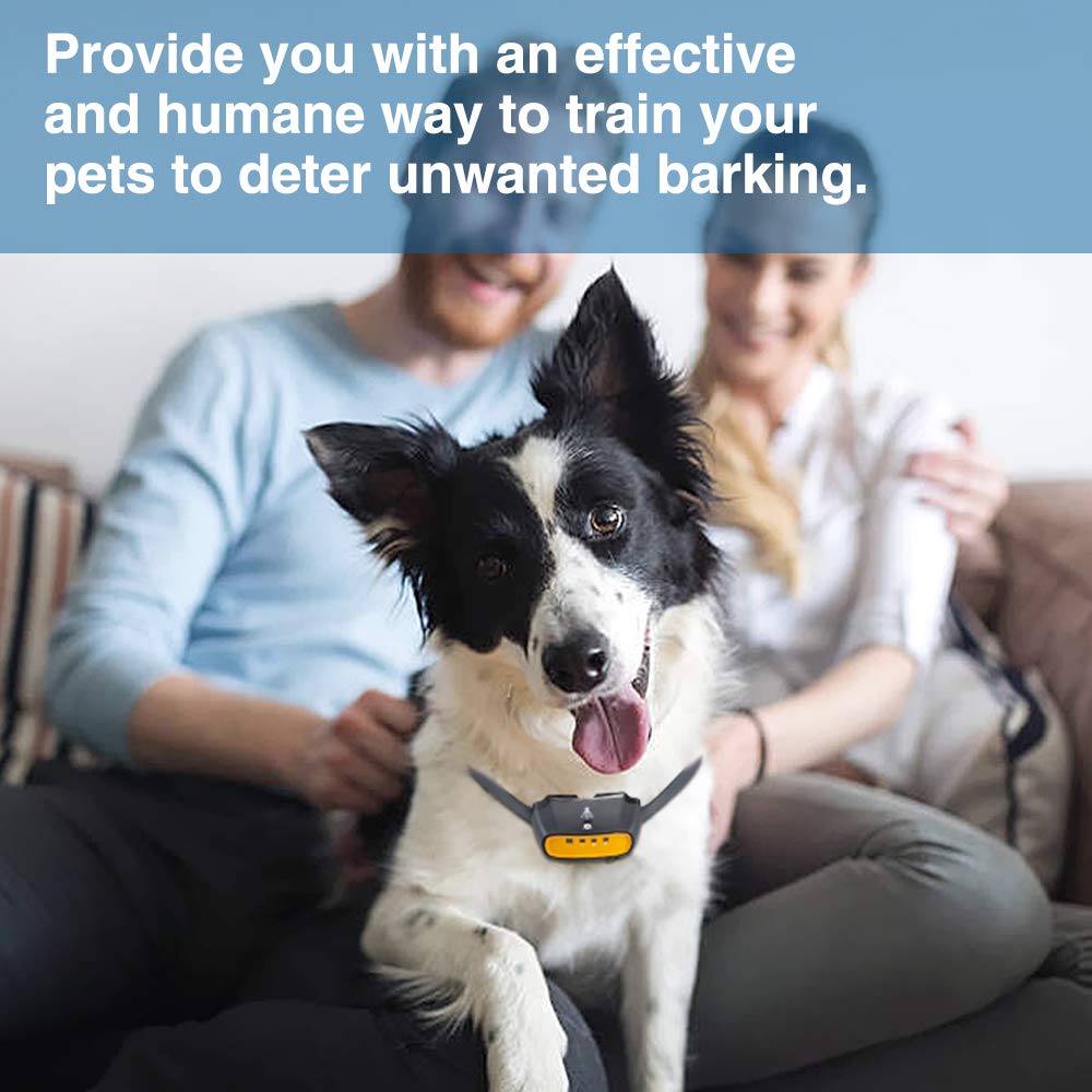 bark spray collars for small dogs