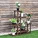 Giantex Flower Rack Plant Stand Multi Wood Shelves Bonsai Display Shelf Indoor Outdoor Yard Garden Patio Balcony Multifunctional Storage Rack Bookshelf W/Hollow-Out Rack (6 Wood Shelves 10 Pots)thumb 2