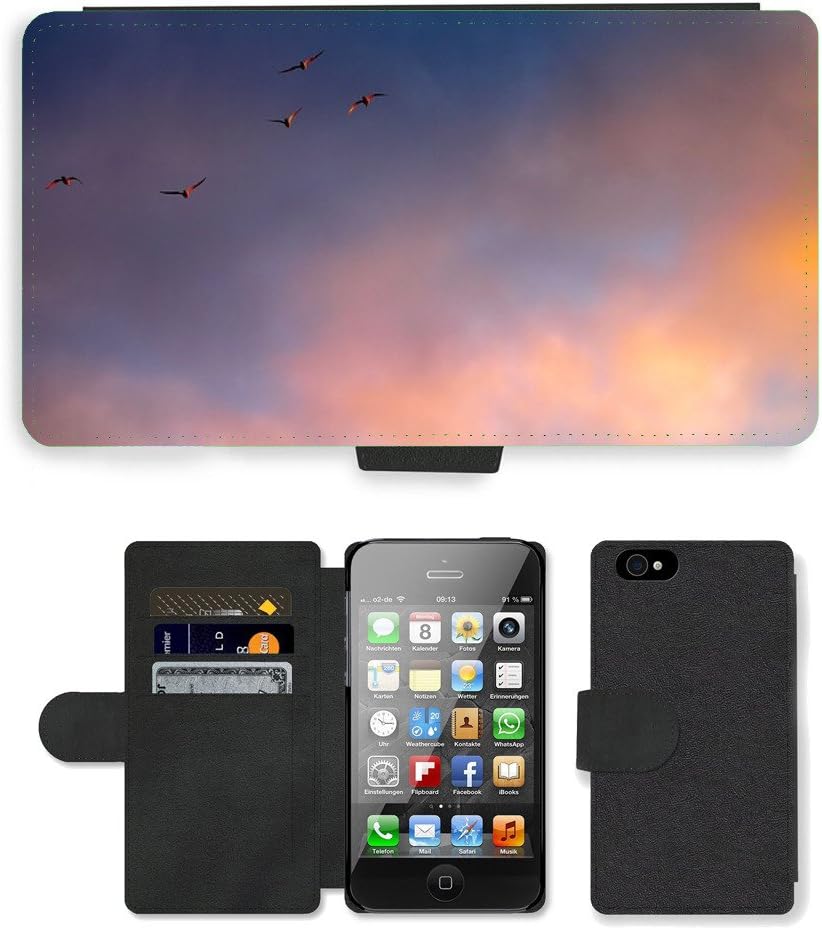 Super Stellar Cell Phone Card Slot PU Leather Wallet Case // M00127103 Cloud Color Birds Flight // Apple iPhone 4 4S 4G