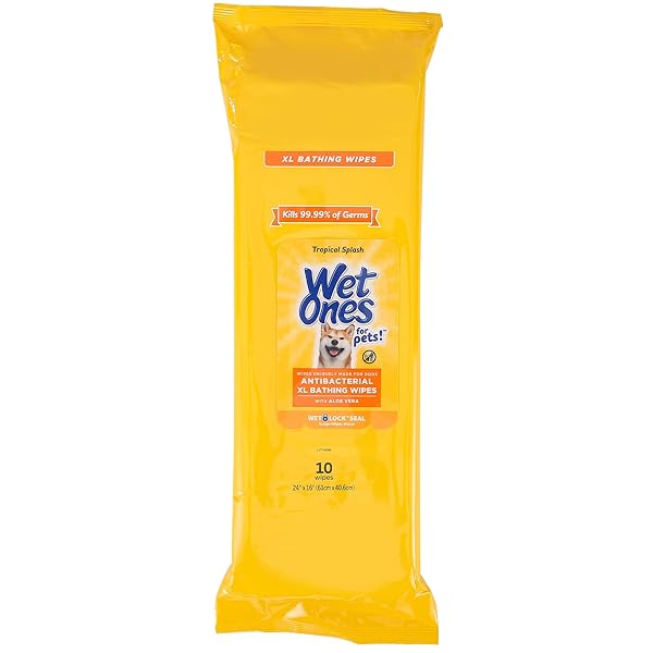 WET ONES FOR PETS MULTIPURPOSE DOG WIPES WITH ALOE VERA, TROPICAL SPLASH SCENT – EXTRA LARGE PET BATHING WIPES WITH WET LOCK SEAL FOR DOG PAWS & ALL OVER USE, 10 COUNT