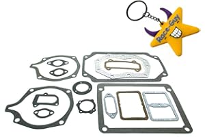 Race-Guy Rebuild Gasket Set Repair Kit for Kohler K341 16HP M16 Engine