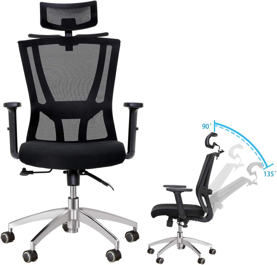 DOSLEEPS Office Chair, Mesh High Back Home Office Desk Chairs, wifh Adjustable Headrest, Armrest and Lumbar Support, Ergonomic V Shape Design, Tilt Function, 360 Degree Swivel, Black