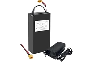 BtrPower 36V 48V 52V 60V 72V Ebike Battery 10AH 20AH 30AH 40AH 50AH 60AH LiFePO4/Lithium Ion Battery Pack with 2A 3A 5A Charger and 20A 40A 50A 80A BMS for 250W 550W 750W 1000W-5500W Motor