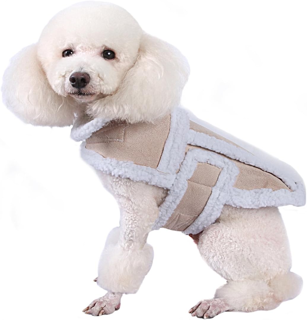 best small dog coats