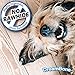 DreamBone Dental Chews, Rawhide-Free Chews for Dogs, Maintain Fresh Breath and Clean Healthy Teeth