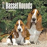 Basset Hounds - 2017 Mini Calendar 7 x 7in