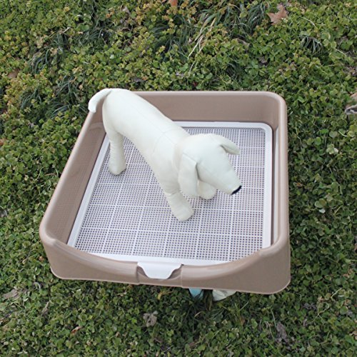 Favorite® Dog Protection Plastic Training Tray/Puppy Training Pad