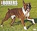 Just 2017 Boxers 2017 Box Calendar