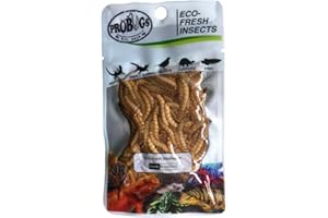 ProBugs Eco-Fresh Insects Mealworms 3pk